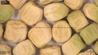 column seed