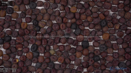 seed