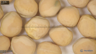 column seed
