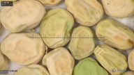 column seed